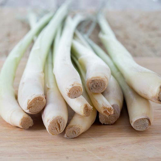 Nature's Design Organic Lemon Grass